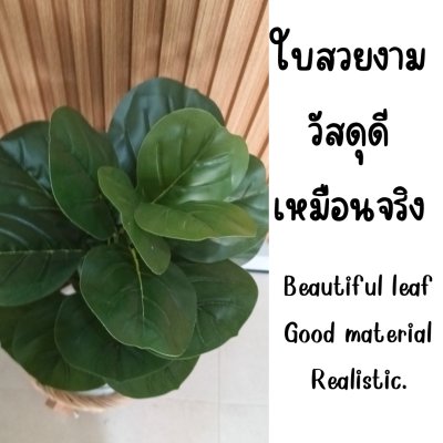 ต้นไทรใบสักปลอมขนาดใหญ่เหมือนจริง Artificial / Fake Fiddle Leaf Fig plant