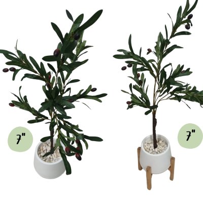 ต้นมะกอกโอลีฟปลอมประดิษฐ์ Artificial / Fake Olive Tree