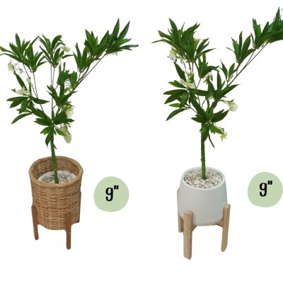 ต้นกระดิ่งนางฟ้าปลอมประดิษฐ์ Artificial Lily of the Valley Tree