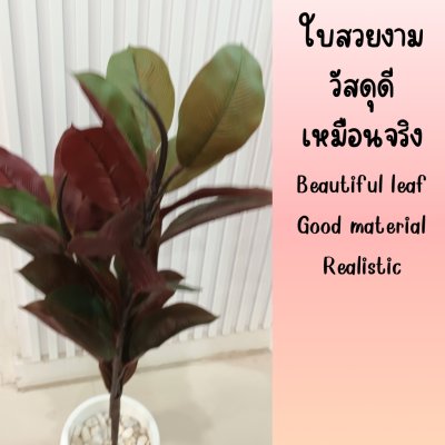 ต้นยางอินเดียปลอมประดิษฐ์ Artificial Rubber Tree