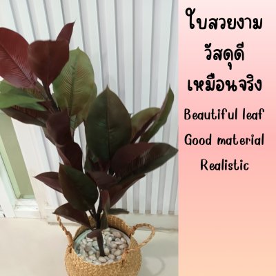ต้นยางอินเดียปลอมประดิษฐ์ Artificial Rubber Tree
