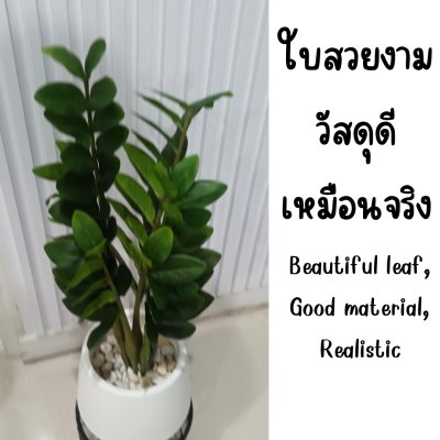 ต้นกวักมรกตประดิษฐ์/ปลอม Artificial ZZ Plant