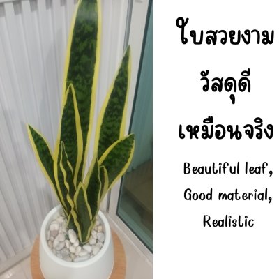 ต้นลิ้นมังกรประดิษฐ์ Artificial Snake Plant