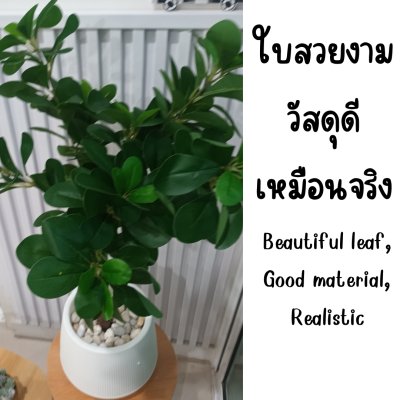ต้นช้อนเงินช้อนทองประดิษฐ์ Artificial Banyan Tree