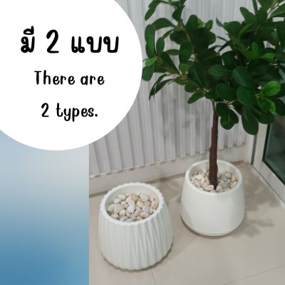 กระถางเบลล่า8นิ้วพร้อมโฟมหิน Bella 8-inch pot.