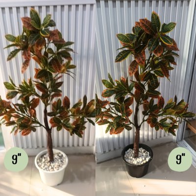 ต้นโกสนปลอมต้นไม้ประดิษฐ์ Artificial / Fake Croton Tree