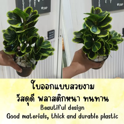 ต้นหัวใจเศรษฐี (สาริกาด่าง) ปลอมประดิษฐ์ตะกร้าสานพลาสติก Artificial Mistletoe Fig