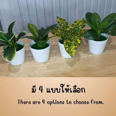 ต้นไม้ปลอมขนาดเล็กกระถางพลาสติกสีขาว 3 นิ้ว Small artificial plant