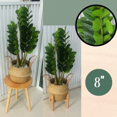ต้นกวักมรกตประดิษฐ์ต้นไม้ปลอมเหมือนจริงแต่งบ้านแต่งร้านขนาดใหญ่ Artificial ZZ Plant