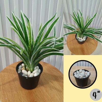 ต้นเศรษฐีเรือนนอกปลอมต้นไม้ประดิษฐ์กระถาง 4 นิ้ว 4-inch potted artificial plant.