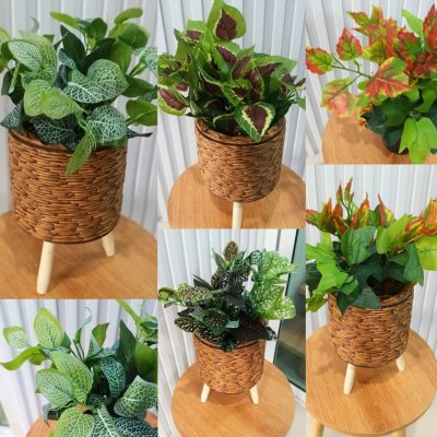 ต้นไม้ปลอมต้นไม้ประดิษฐ์ใบสวยงามเหมือนจริงแต่งบ้านแต่งร้าน Artificial plant, beautiful realistic leaves