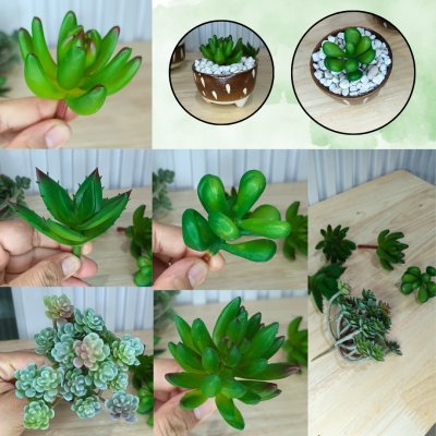แคคตัสปลอมประดิษฐ์เฉพาะต้นไม้ Artificial cactus specifically for plants.