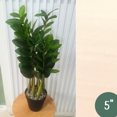 ต้นกวักมรกตประดิษฐ์ต้นไม้ปลอมเหมือนจริงแต่งบ้านแต่งร้านขนาดใหญ่ Artificial ZZ Plant
