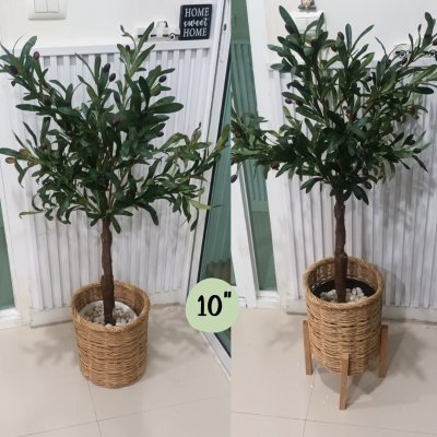 ต้นมะกอกโอลีฟปลอมประดิษฐ์ Artificial / Fake Olive Tree