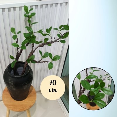 กิ่งไม้ใบไม้ปลอมประดิษฐ์ไหดินเผา Artificial branches and leaves in a clay pot.
