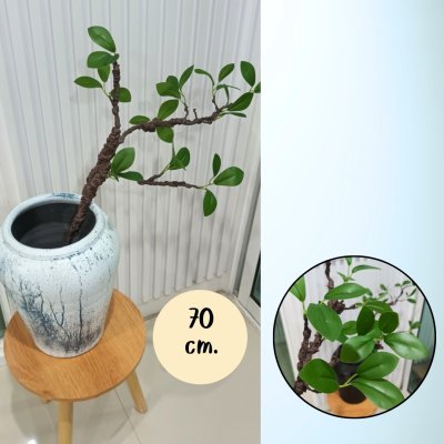 กิ่งไม้ใบไม้ปลอมประดิษฐ์ไหดินเผา Artificial branches and leaves in a clay pot.