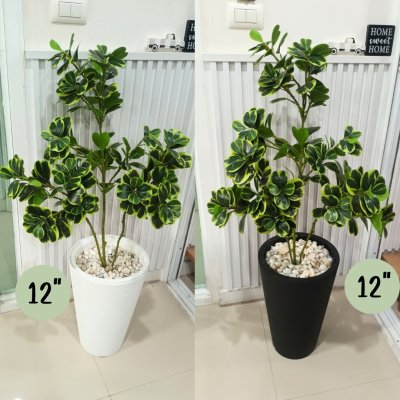 ต้นหัวใจเศรษฐี (สาริกาด่าง) ต้นไม้ปลอมประดิษฐ์ Artificial Mistletoe Fig