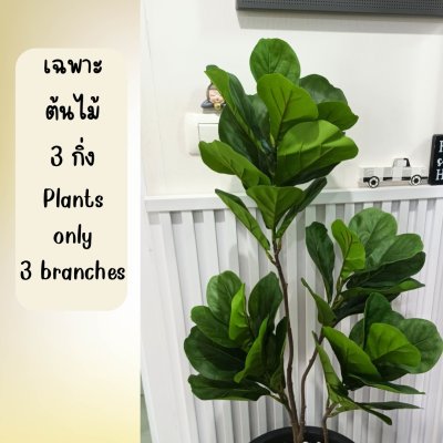 (3P)ต้นไทรใบสักปลอม ต้นไม้ปลอมประดิษฐ์ Artificial Fiddle-leaf fig