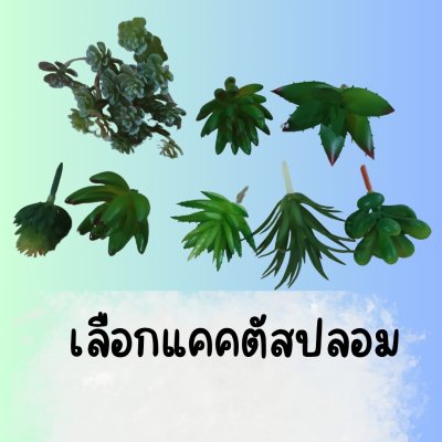 แคคตัสปลอมในกระถางเซรามิก