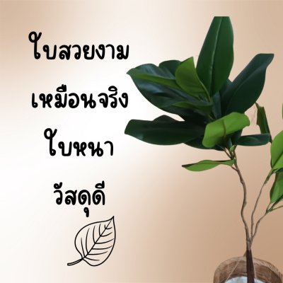 ต้นยางอินเดียปลอมในตะกร้าหวาย พร้อมขาตั้งไม้ – Artificial rubber plant in a wicker basket