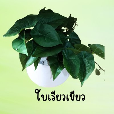 ต้นไม้เลื้อยปลอมในกระถางดินเผาทรงนมวัว Artificial vine plant in cow-shaped ceramic pot.