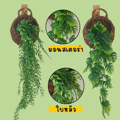 ต้นไม้เลื้อยปลอมประดิษฐ์ในตะกร้าหวายแขวนผนัง Artificial climbing plant in a wicker basket.