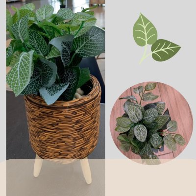 ต้นไม้ปลอมต้นไม้ประดิษฐ์ใบสวยงามเหมือนจริงแต่งบ้านแต่งร้าน Artificial plant, beautiful realistic leaves