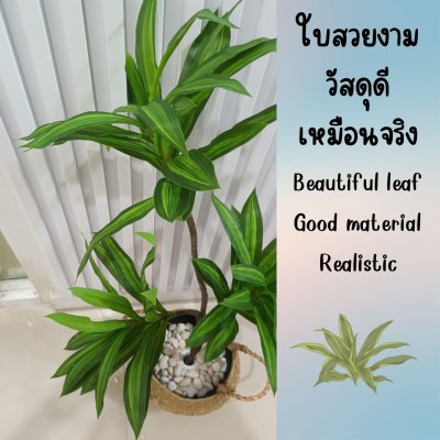 ต้นดราซีน่่าปลอมต้นไม้ประดิษฐ์ขนาดใหญ่ Artificial / Fake Dracaena plant ต้นดราซีน่่าปลอมต้นไม้ประดิษฐ์ขนาดใหญ่ Artificial / Fake Dracaena plant