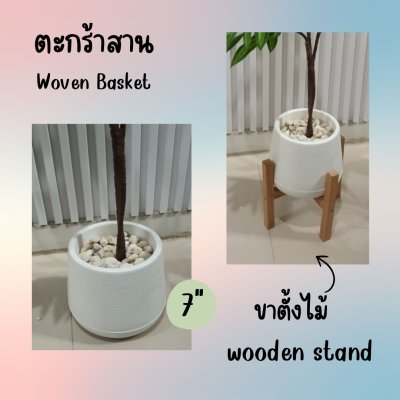 ต้นดราซีน่่าปลอมต้นไม้ประดิษฐ์ Artificial / Fake Dracaena plant