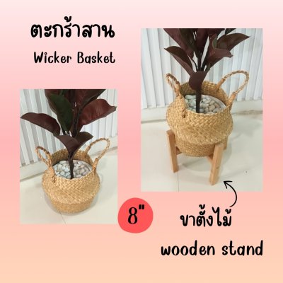 ต้นยางอินเดียปลอมประดิษฐ์ Artificial Rubber Tree