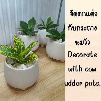 ต้นไม้ปลอมขนาดเล็กกระถาง 5" Small artificial plant with a 5-inch clay pot.