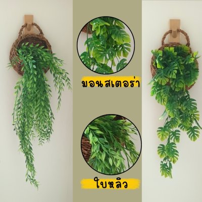 ต้นไม้เลื้อยปลอมประดิษฐ์ในตะกร้าหวายแขวนผนัง Artificial climbing plant in a wicker basket.