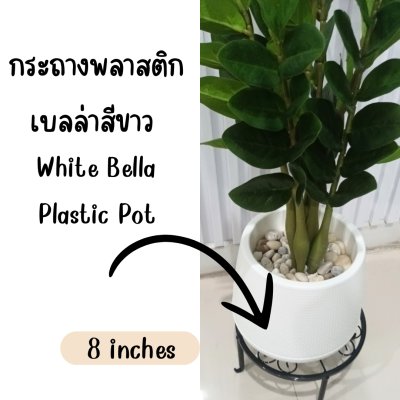ต้นกวักมรกตประดิษฐ์/ปลอม Artificial ZZ Plant