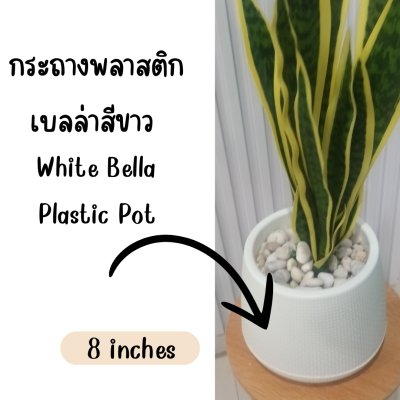ต้นลิ้นมังกรประดิษฐ์ Artificial Snake Plant