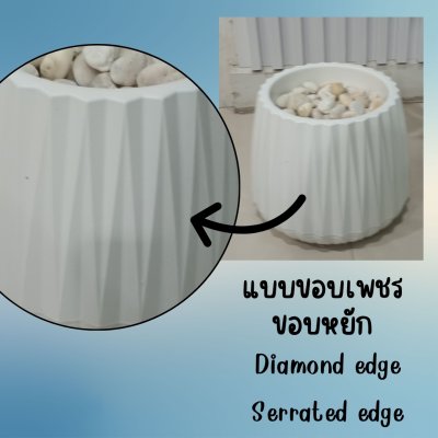 กระถางเบลล่า8นิ้วพร้อมโฟมหิน Bella 8-inch pot.