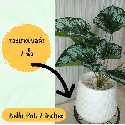 ต้นไม้ปลอมใบลายสวยกระถางเบลล่าขาตั้ง Artificial tree in a Bella pot with a stand