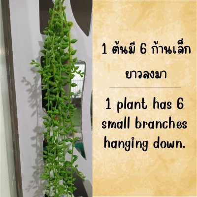 ต้นเดฟกระดุมปลอมต้นไม้เลื้อยประดิษฐ์แต่งบ้านแต่งร้าน Artificial climbing plant