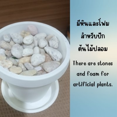 6 นิ้ว กระถางพลาสติกสีขาวทรงสูงขอบหนาพร้อมจานรอง White tall plastic pot