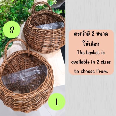 ดอกไม้เลื้อยปลอมสีขาวในตะกร้าสานแขวนผนัง Artificial white climbing flowers in a woven basket.