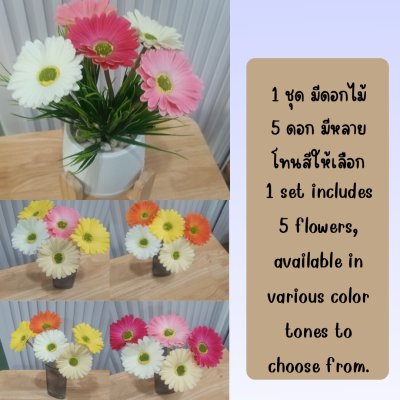 ช่อดอกเยอบีร่าในกระถางเบลล่า 5 นิ้ว ขาตั้งไม้ Gerbera flower bouquet in a 5-inch Bella pot.