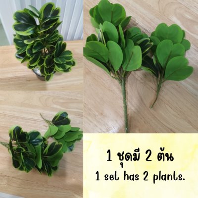 ต้นหัวใจเศรษฐี (สาริกาด่าง) ปลอมประดิษฐ์ตะกร้าสานพลาสติก Artificial Mistletoe Fig