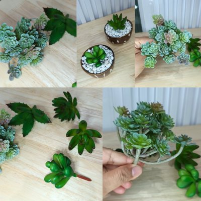 แคคตัสปลอมประดิษฐ์เฉพาะต้นไม้ Artificial cactus specifically for plants.