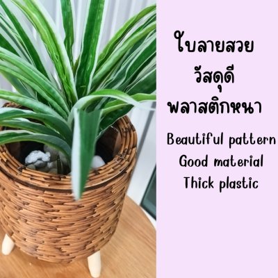 ต้นเศรษฐีเรือนนอกปลอมประดิษฐ์ตะกร้าสาน(หวายเทียม) Artificial plant