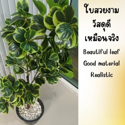 ต้นหัวใจเศรษฐี (สาริกาด่าง) ต้นไม้ปลอมประดิษฐ์กระถาง 9 นิ้ว Artificial Mistletoe Fig