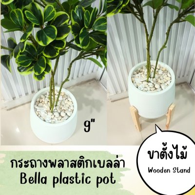 ต้นหัวใจเศรษฐี (สาริกาด่าง) ต้นไม้ปลอมประดิษฐ์กระถางเบลล่า 9 นิ้ว Artificial Mistletoe Fig