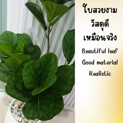 ต้นไทรใบสักปลอมต้นไม้ประดิษฐ์ขนาดใหญ่กระถางเบลล่า 9 นิ้ว Artificial / Fake Fiddle-leaf fig