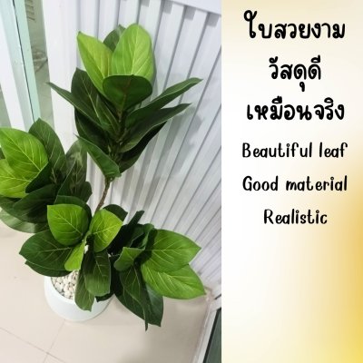 ต้นยางอินเดียปลอมต้นไม้ประดิษฐ์ขนาดใหญ่กระถางเบลล่า 9 นิ้ว Artificial / Fake Indian Rubber Plant
