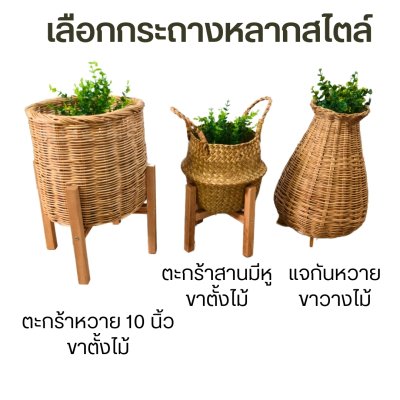 ต้นกระดิ่งนางฟ้าประดิษฐ์ ต้นกระดิ่งนางฟ้าประดิษฐ์