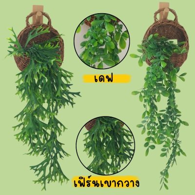 ต้นไม้เลื้อยปลอมประดิษฐ์ในตะกร้าหวายแขวนผนังมีหลายแบบ