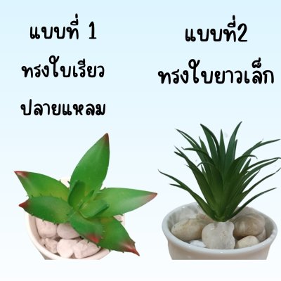 แคคตัสปลอมในกระถางเซรามิก